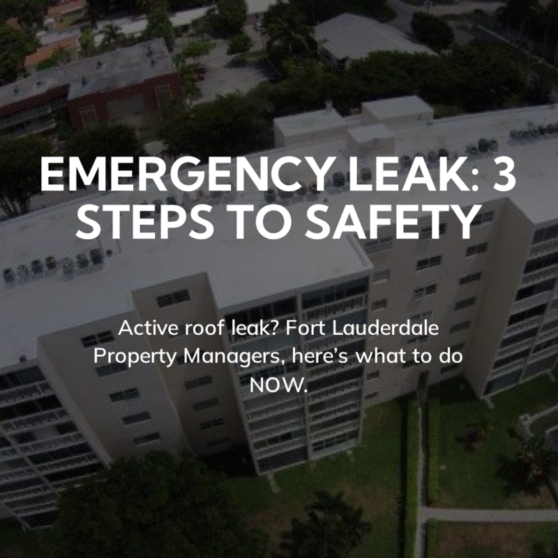 Stunning Roof Leak Emergency Services image