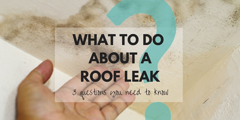 three questions what to do about a roof leak | Rainbow Roofing